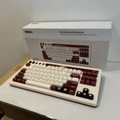 【ほぼ未使用】8BitDo Retro Mechanical キーボード