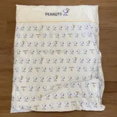 Item thumbnail for item 0ebbecd3-0f5e-492e-b82a-9d69eb031bc2