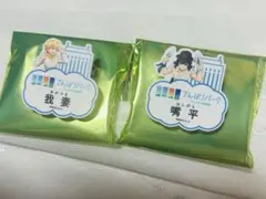 嘴平伊之助 我妻善逸鬼滅の刃 池袋サンシャインシティ 展望台 ネームバッジ