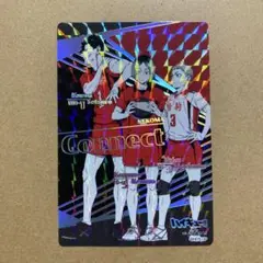 【おまけ付】ハイキュー!! きゃらくたぶるカードグミ vol.4 ハイレアカード