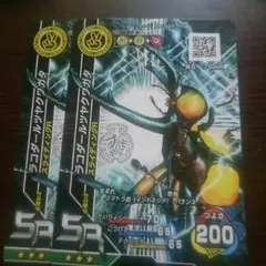 【即購入可】ラコダールツヤクワガタ 2枚