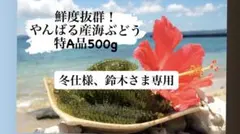 ※鈴木様専用　海ぶどうトクA品　500g