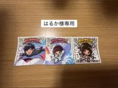 【はるか様専用】SaucyDog ドッグメンシール vol.2