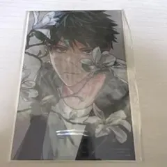 ギヴン キヅナツキ シェリプラス 全プレ クリアカード 佐藤真冬 上ノ山立夏 新書館 ギヴン展 キヅナツキ クリアシート SNS風 クリアカード 2枚