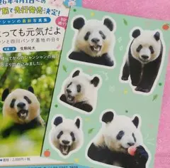 2026年最新】上野動物園 シャンシャン ステッカーの人気アイテム