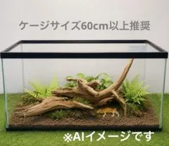 yano様専用 ブランチウッド2点 煮沸沈水確認済 - メルカリ