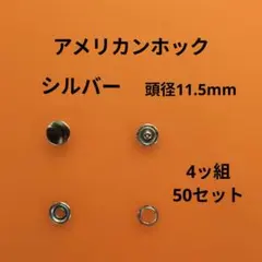 アメリカンホックシルバー4ッ組50セット