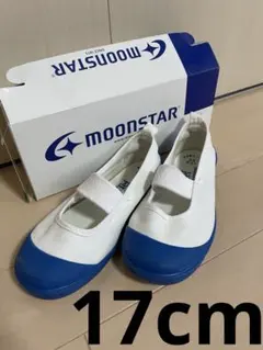 Item thumbnail for item 7dd4a80f-cae4-4b49-b16a-0da6dc8c215e