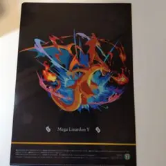 Mega Lizardon Y & X クリアファイルセット ポケモン