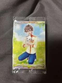 プリキュアカードウエハース 兎山悟&兎山大福