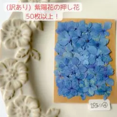 がっちゃん様 リクエスト 2点 まとめ商品