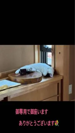 国産シルバー925丸グリーンアゲートリング＆ピンクジルコニアリング9.4号