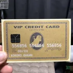 VIP CREDIT CARD型 おもしろポチ袋のサムネイル
