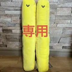 専用
