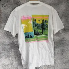STUSSY ステューシー Palm Desert Pigment Dyed T