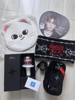 プロフ必読！！ ✪公式！スキズバッグ＆ペンラVer2作動確認済み✪ Stray Kids OFFICIAL LIGHT STICK VER.2 – JYP JAPAN ONLINE STORE