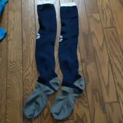 ガビック ソックス