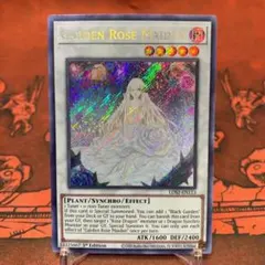 遊戯王【英語版】ガーデン・ローズ・フローラ スーパー 3枚セット