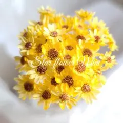 ６mam,yT様 リクエスト 4点 まとめ商品