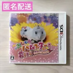 3DS おしゃれハムスターと暮らそう いっしょにおでかけ