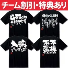 バドミントン練習着 バドミントンtシャツ チーム 部活 ジュニア レディース