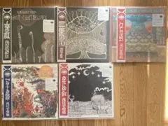 Kikagaku Moyo LPまとめ売り 中古新入荷情報】ジャパニーズ・サイケデリックロックバンド、幾何学