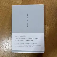 宇多田ヒカルの言葉