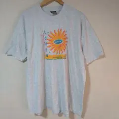 90' ✨️フルーツオブザルーム Tシャツ 半袖 XXL ゆったり 灰 USA製