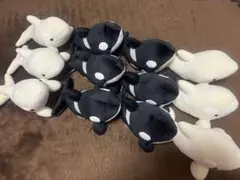 2026年最新】名古屋港水族館 シャチくじの人気アイテム - メルカリ