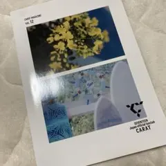 SEVENTEEN セブチ　会報誌Vol.12