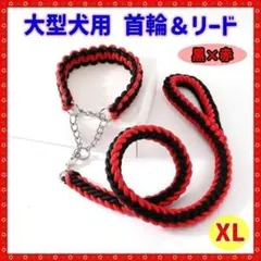 Item thumbnail for item a9339520-8dad-4d1a-9a61-088fdf69a884