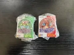 ポケモンセンター30周年 カプセルトイ ガチャ ソフト キーホルダー赤