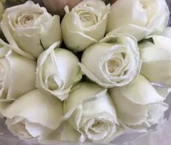 yonerimama様 リクエスト 3点 まとめ商品