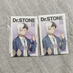 【匿名配送】Dr.STONE 読書の秋 ゲン 長方形缶バッジ 2個セット