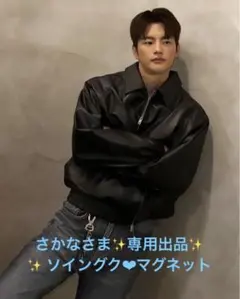 さかなさま✨専用出品✨✨ ソイングク❤︎マグネット✨