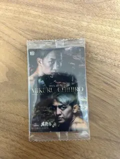 Item thumbnail for item 55ba09a6-073c-4ef6-8fdb-7e2bc33839a3