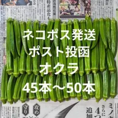 オクラ 45本〜50本のサムネイル