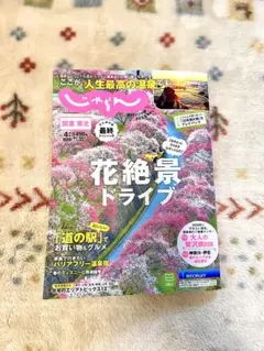じゃらん　2025.4月永久保存版　 最終スペシャル号