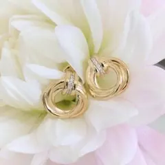 herlipto Twisted Hoop Earringsのサムネイル