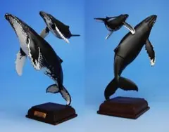 Item thumbnail for item c2894240-3fd9-440e-98e9-34035ab0b3ba