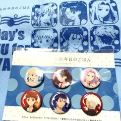 衛宮さんちの今日のごはん　コミケ　缶バッジ　セット 衛宮さんちの今日のごはん 衛宮さんちの缶バッジセット: キャラ