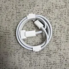 iPhone 充電器 純正 タイプCライトニングケーブル Apple正規品