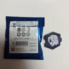 鬼滅の刃 無限城編 キャラクター モチーフ ピンズ 宇髄天元