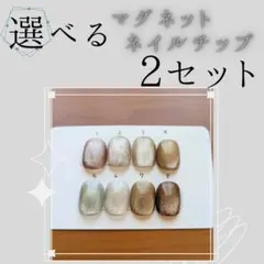 選べるマグネットネイルチップ 2セット