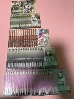 望月穂波 まとめ売り ヴァイス