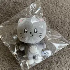 AHOF アホプ ぬいぐるみ　ハン　ドール キーリング AHOF アホプ ハン パクハン ドール キーリング ぬいぐるみ - メルカリ