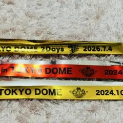 TOP4 in TOKYODOME アクキースタンドコレクション 銀テ - メルカリ