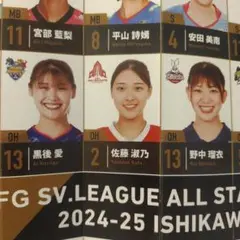 【レア】SVリーグ オールスター 女子 応援ハリセン バレーボール　佐藤淑乃
