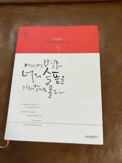 トッケビ もしかしたら星たちが君の悲しみを持っていくかもしれない 韓国