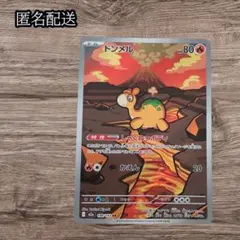 ✨匿名配送✨ドンメル　AR